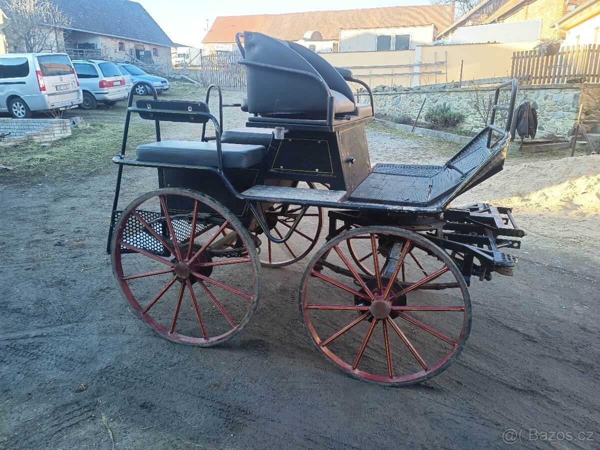 Maratoňák - koně, pár i jednička