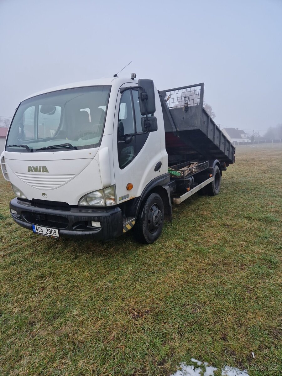 AVIA D100