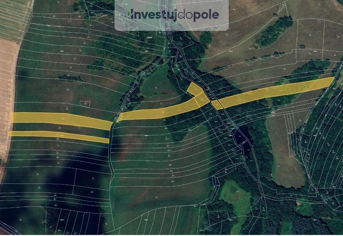 Prodej podílu 1/4 louky 4 782 m², Částkov