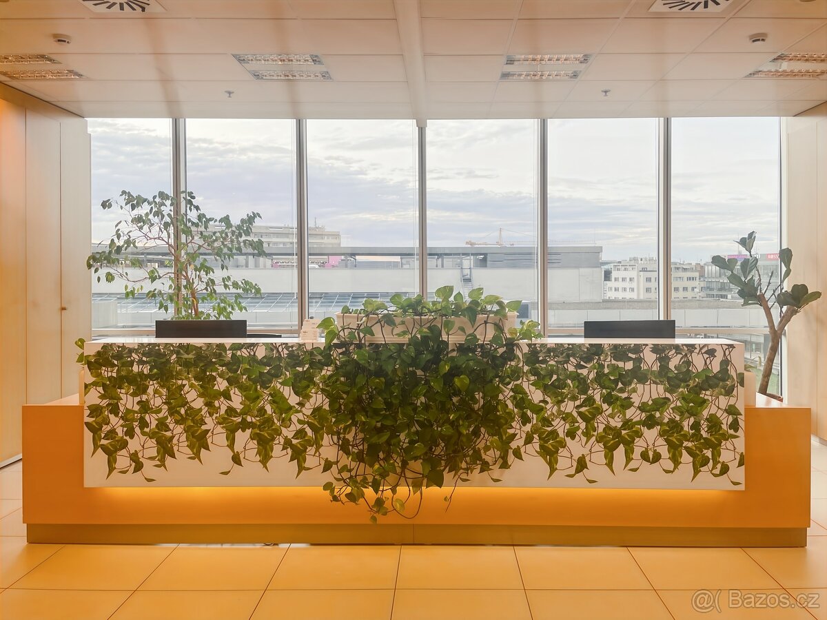 Pronájem virtuální kancelář, 5 m² - Praha - Nusle