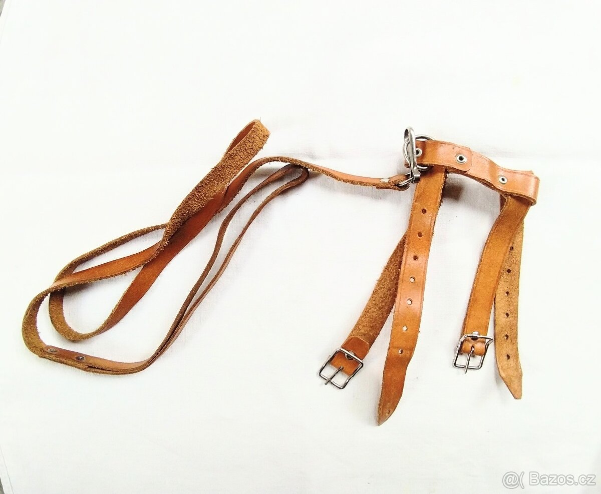 Kožený postrojek na psa