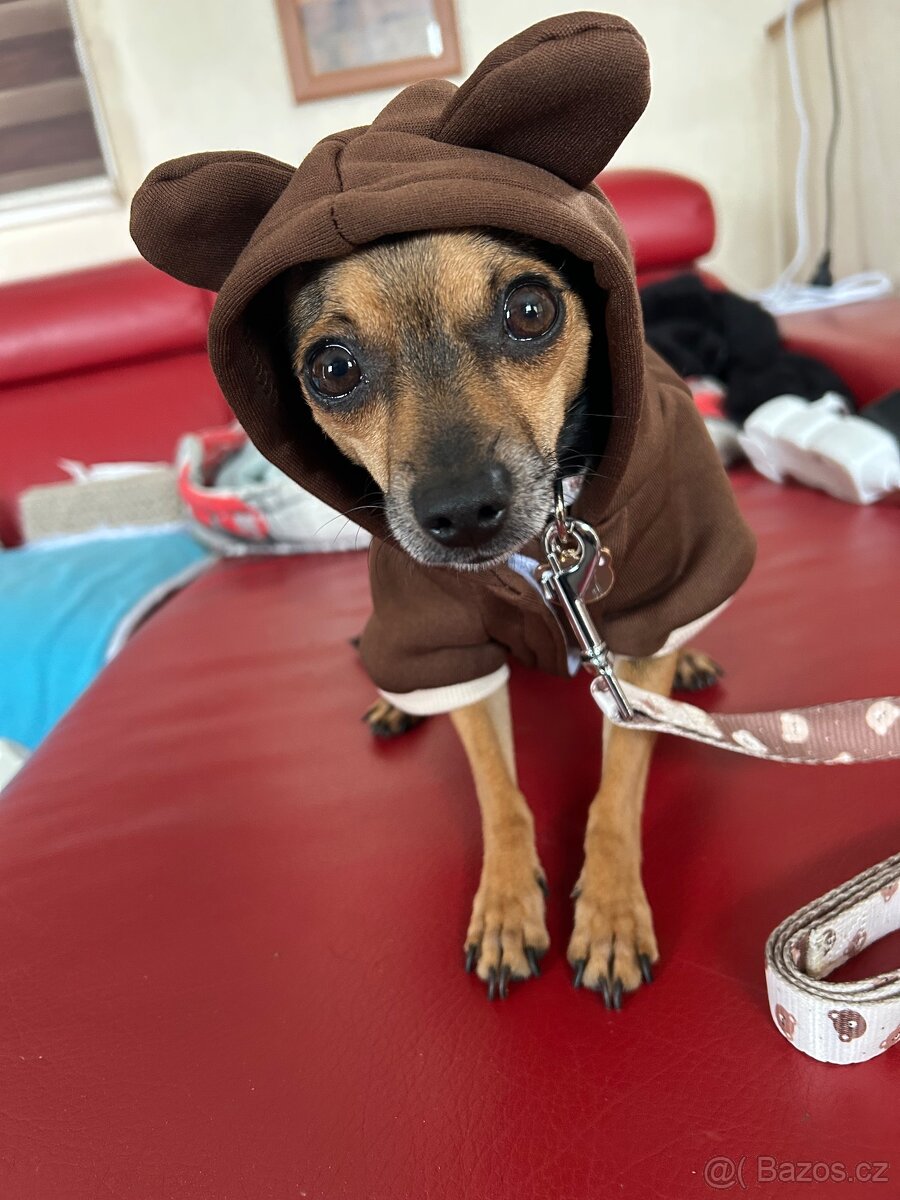 Pražský krysařík bez pp