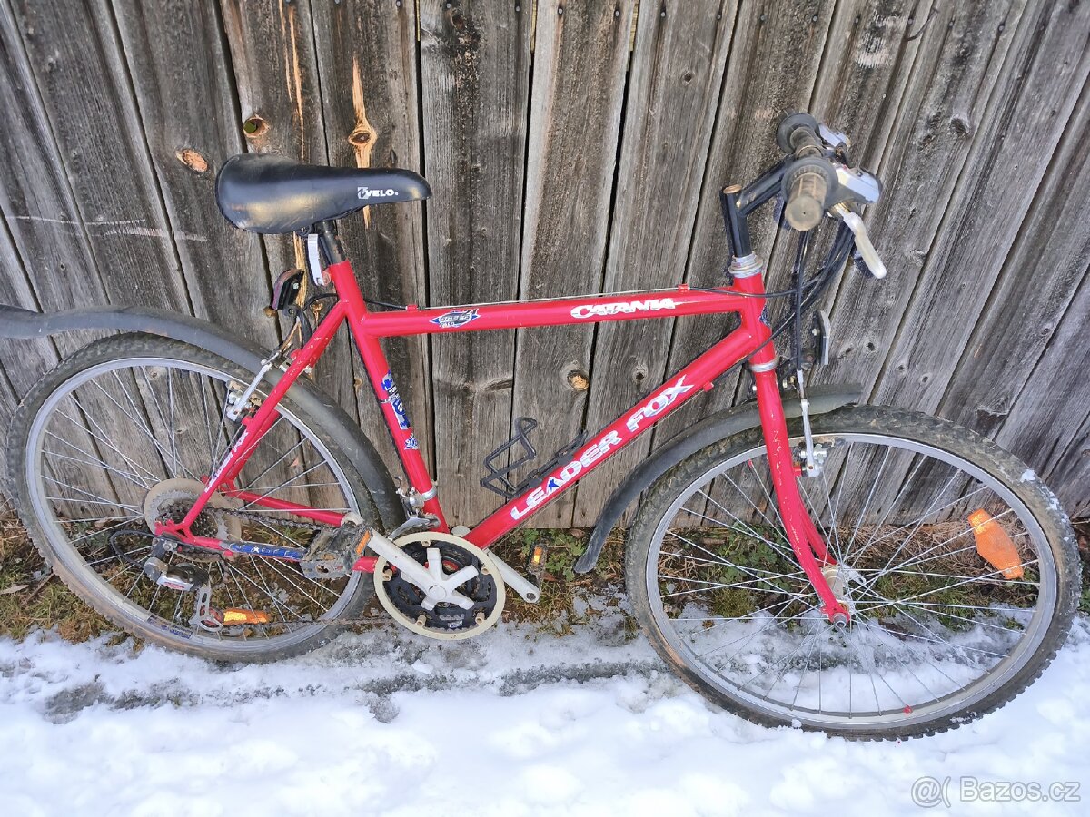 2xLeader Fox Catania