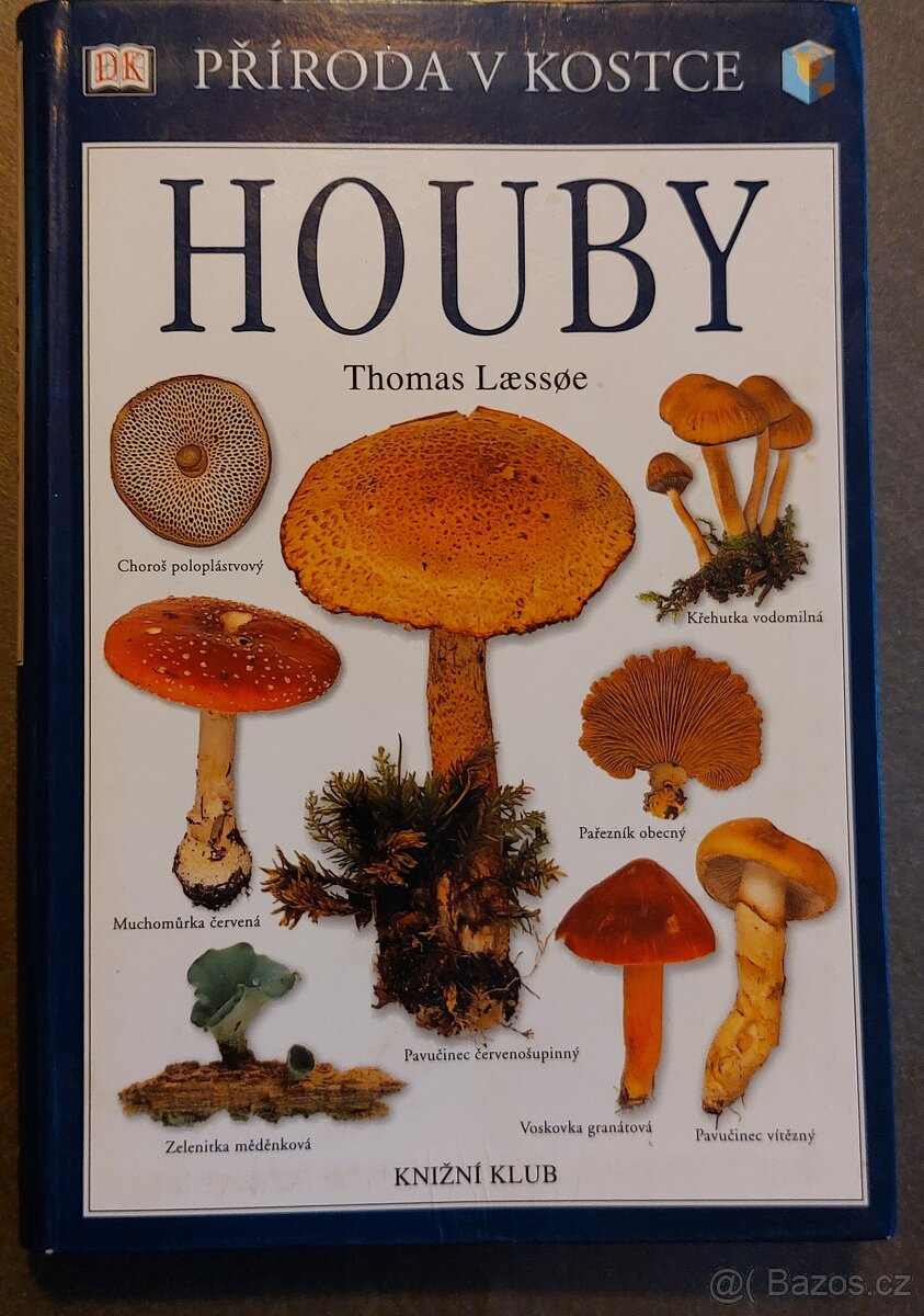 Houby-Thomas Lassoe