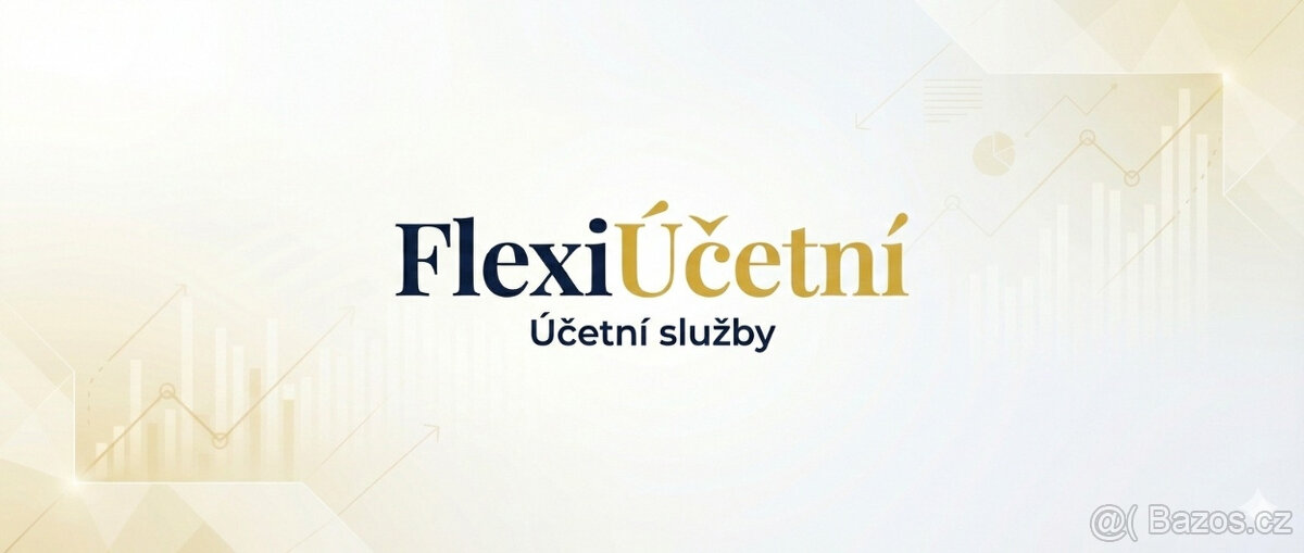 Nabízíme účetní služby