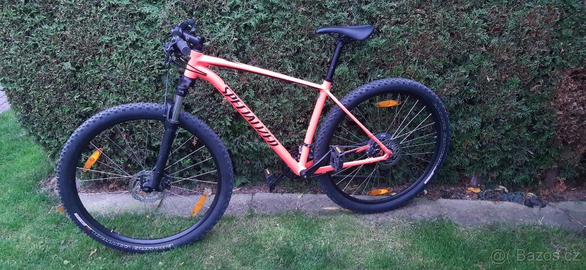 Specialized Rockhopper 29