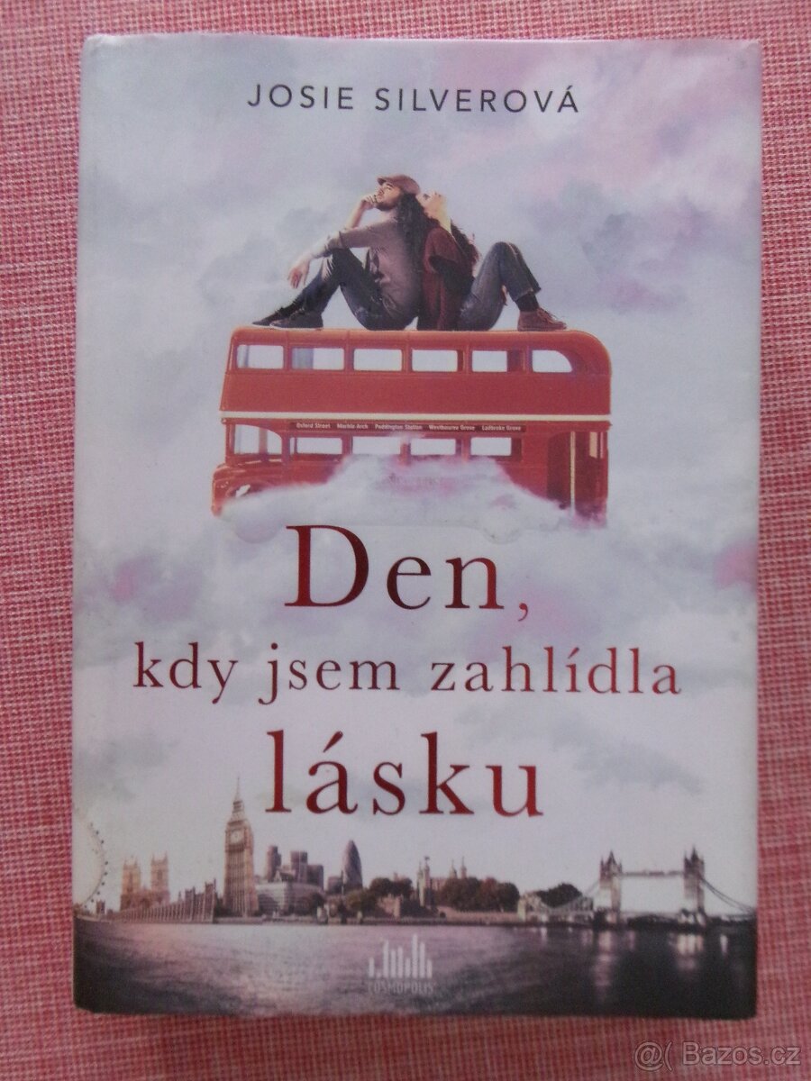 Den, kdy jsem zahlídla lásku.