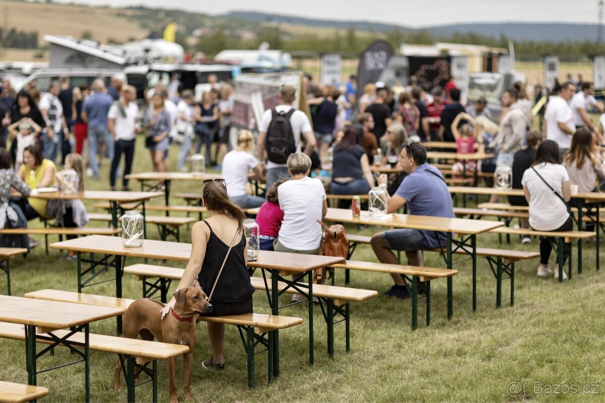 Bistro/ restaurace: web + google profil