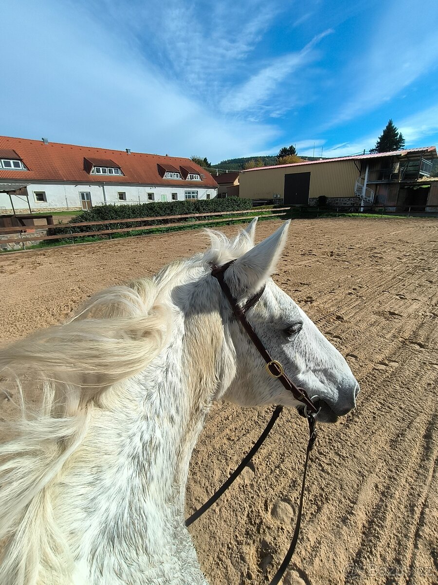 volné místo ustájení