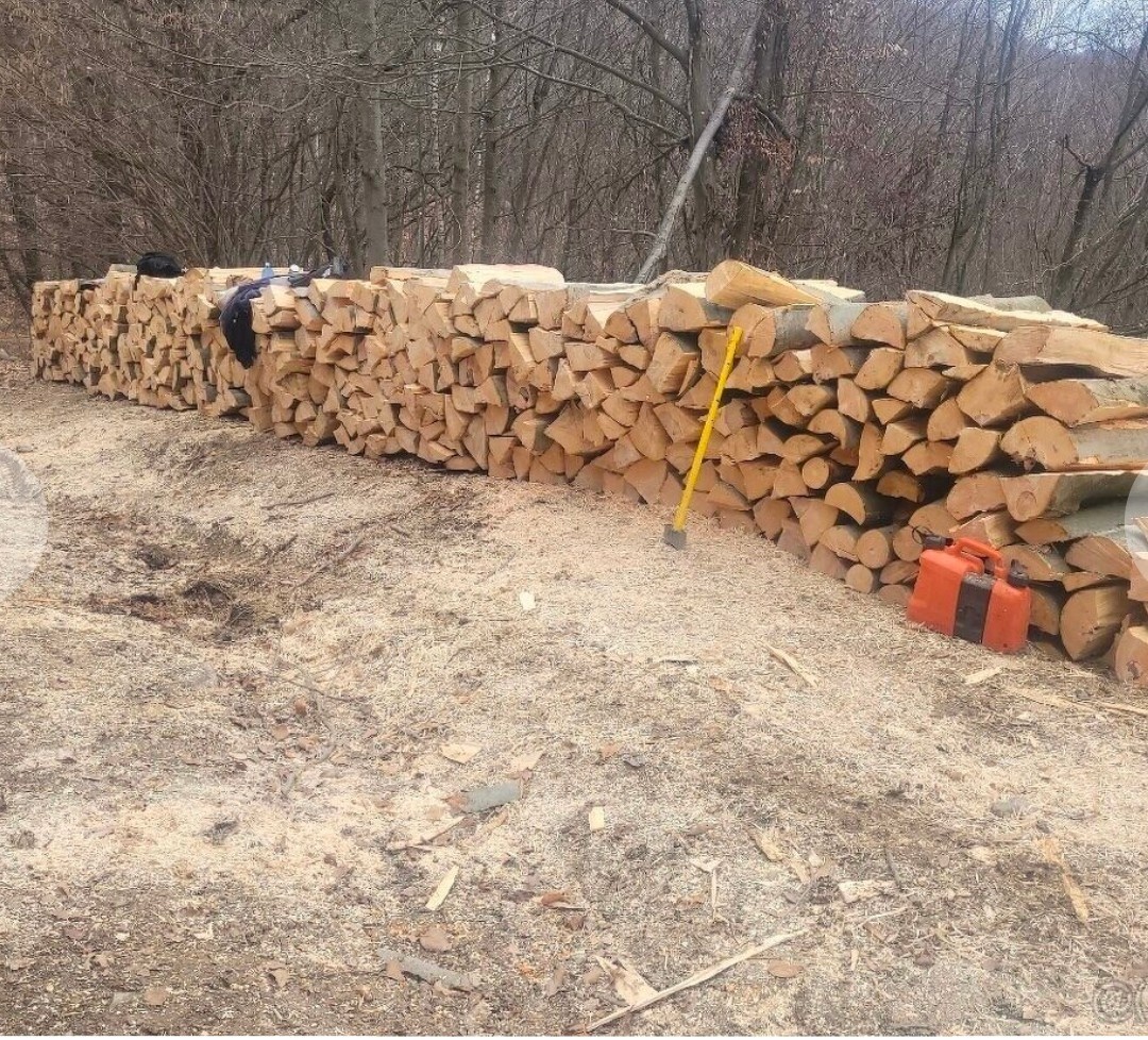 PALIVOVÉ DŘEVO TVRDÉ -AKČNI NABÍDKA