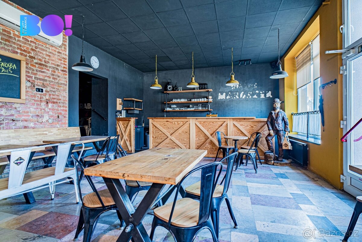 Prodej obchodního prostoru, ul. Čapkova, Český Těšín