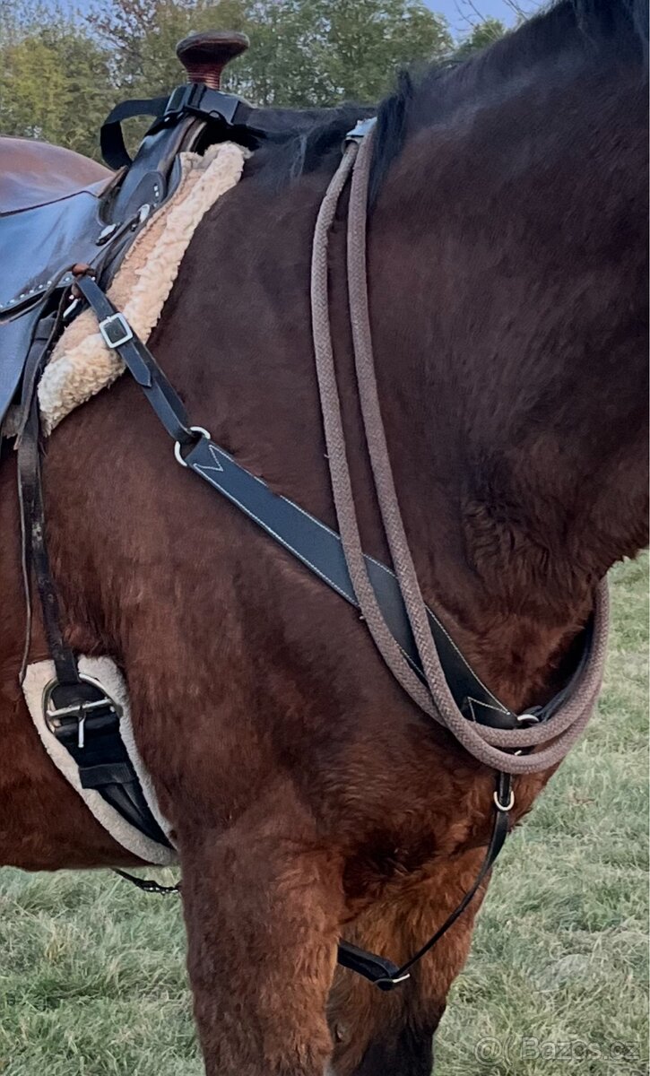 Černý kožený poprsák