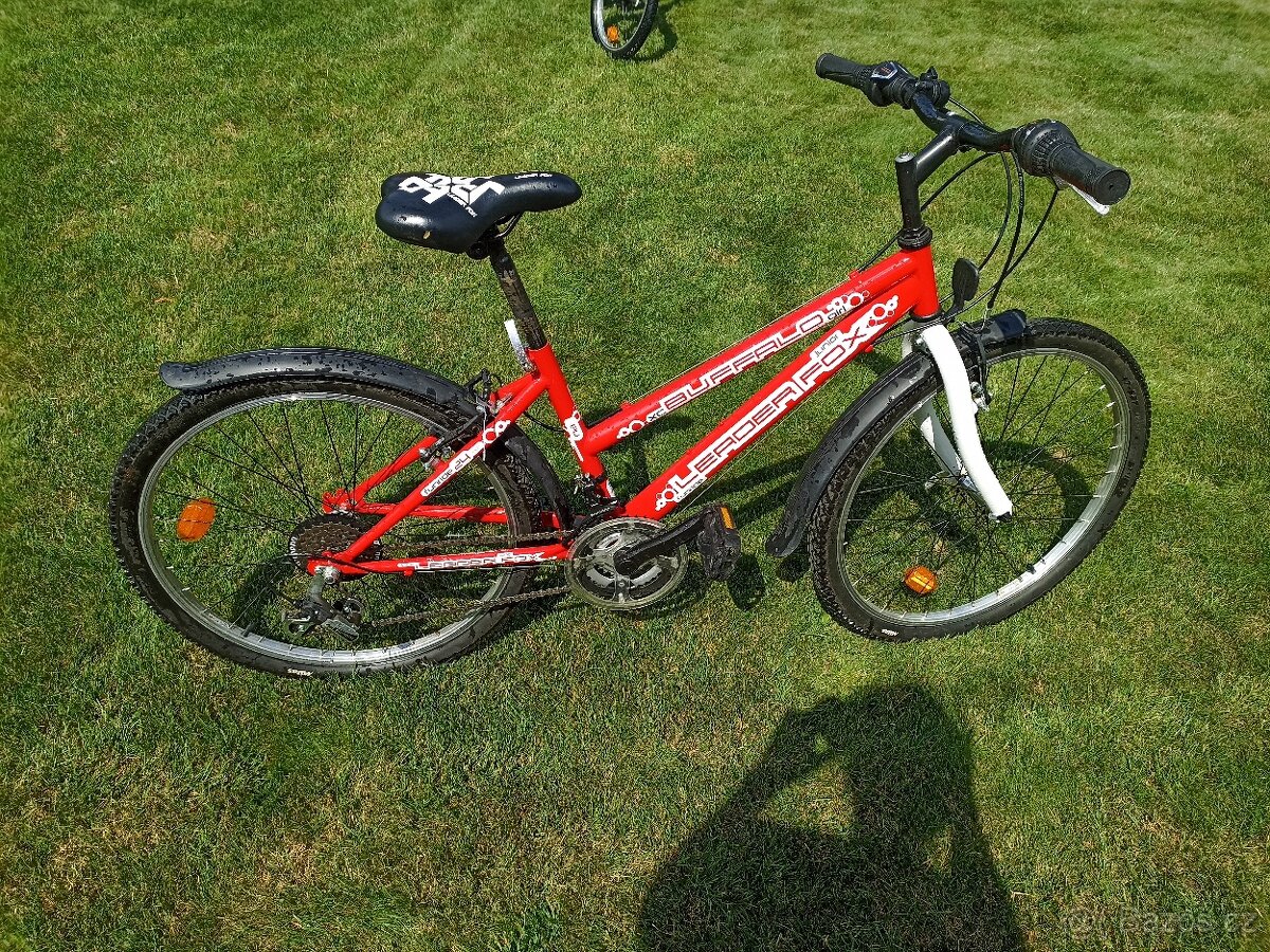 Kolo Leader Fox BUFFALO "24"