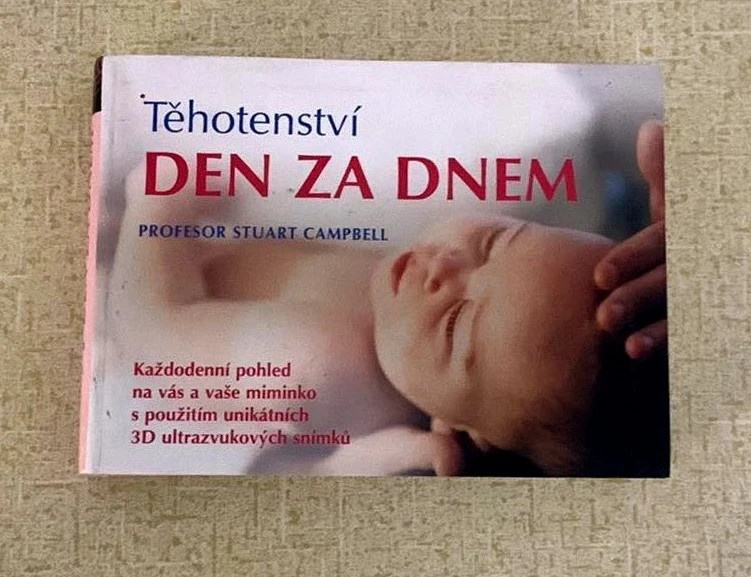 Těhotenství den za dnem