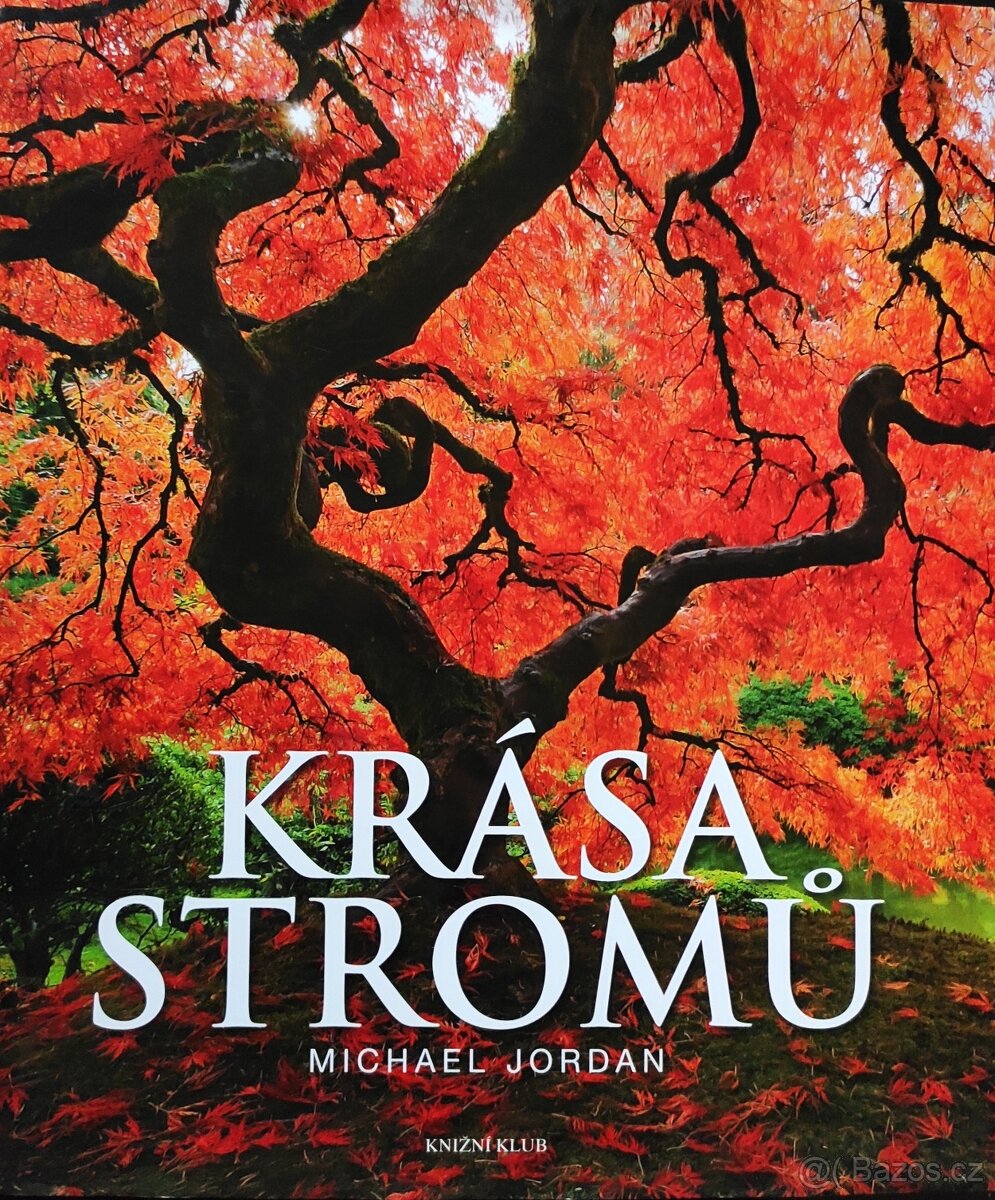 Michael Jordan: Krása stromů