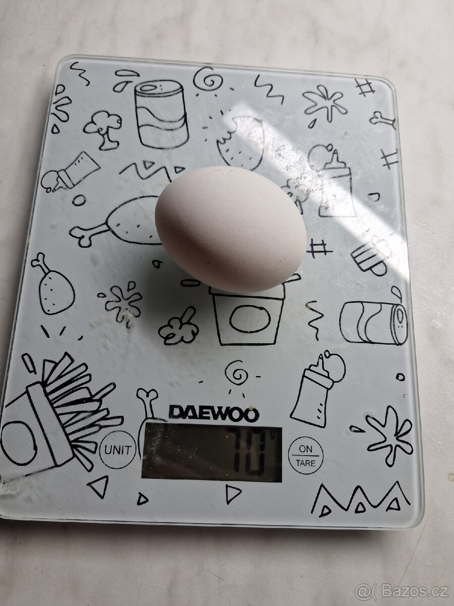 Prodám domácí vajíčka