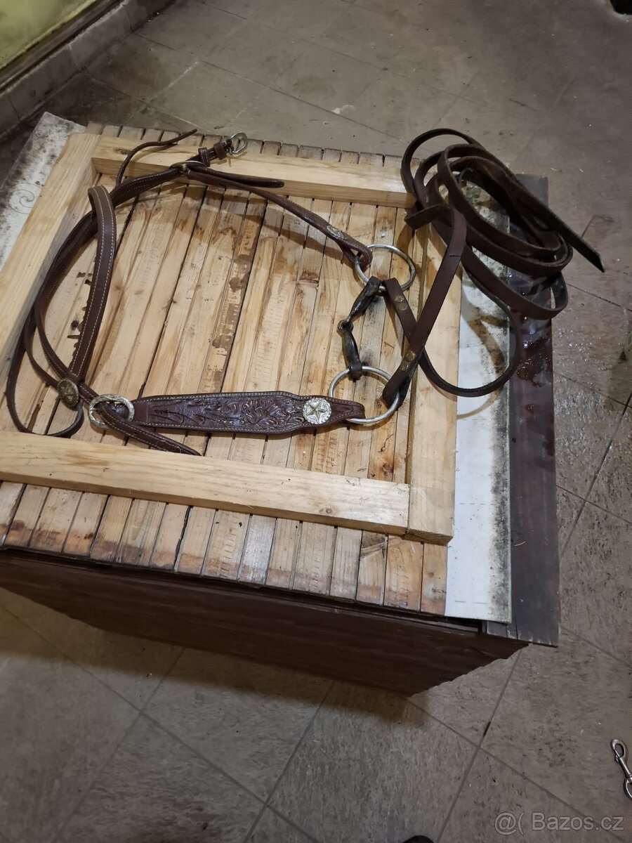 Ohlávka+Otěže+Pouzdro na pušku