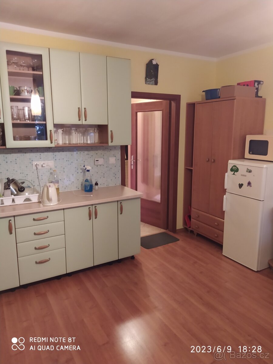 Vybavený 1kk + balkon - Dubina