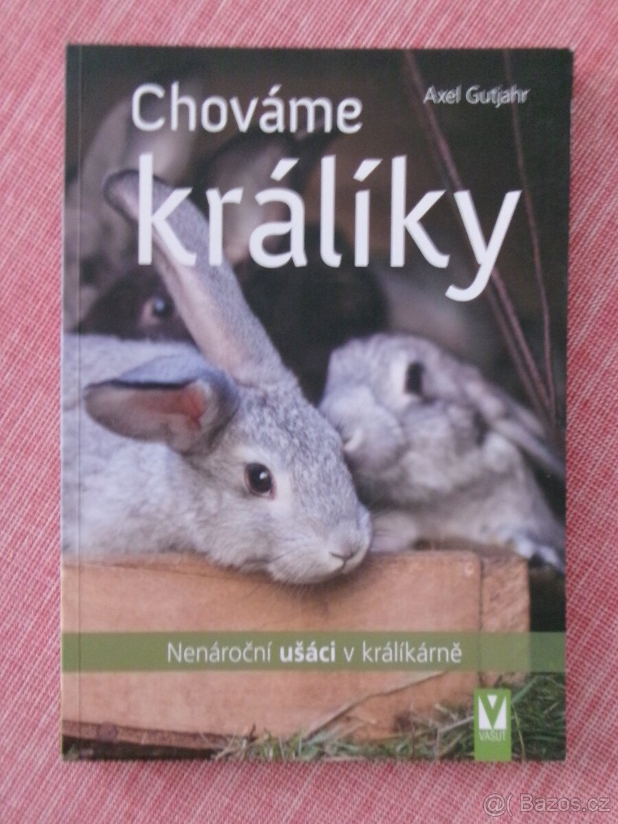 Chováme králíky: Nenároční ušáci v králíkárně.