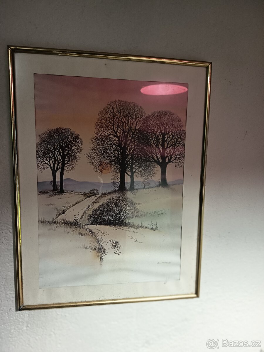 Prodám obraz bez signatury autor není znam