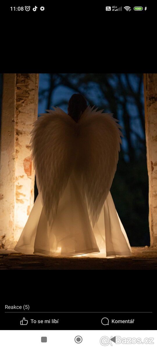 SLEVA Andělská křídla