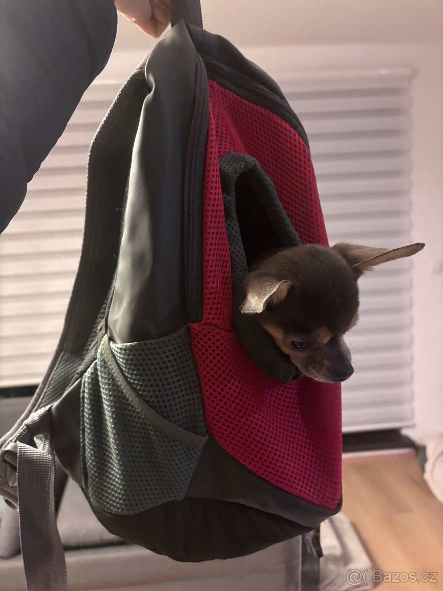 Batoh na psa - na výlety (pes do 4kg)