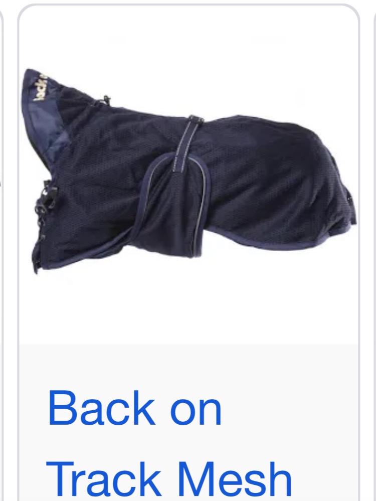 Back on Track Mesh M/46cm