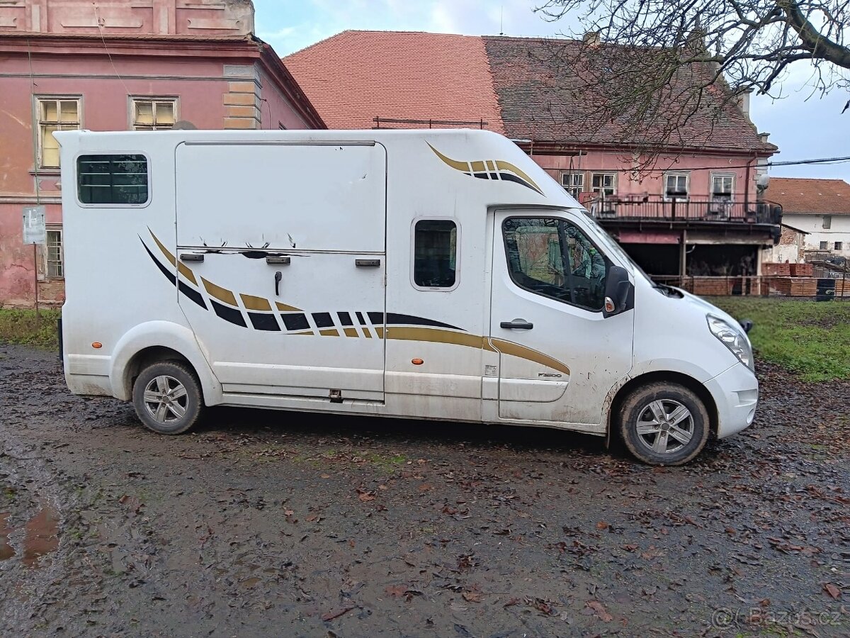 Přeprava koní - nonstop