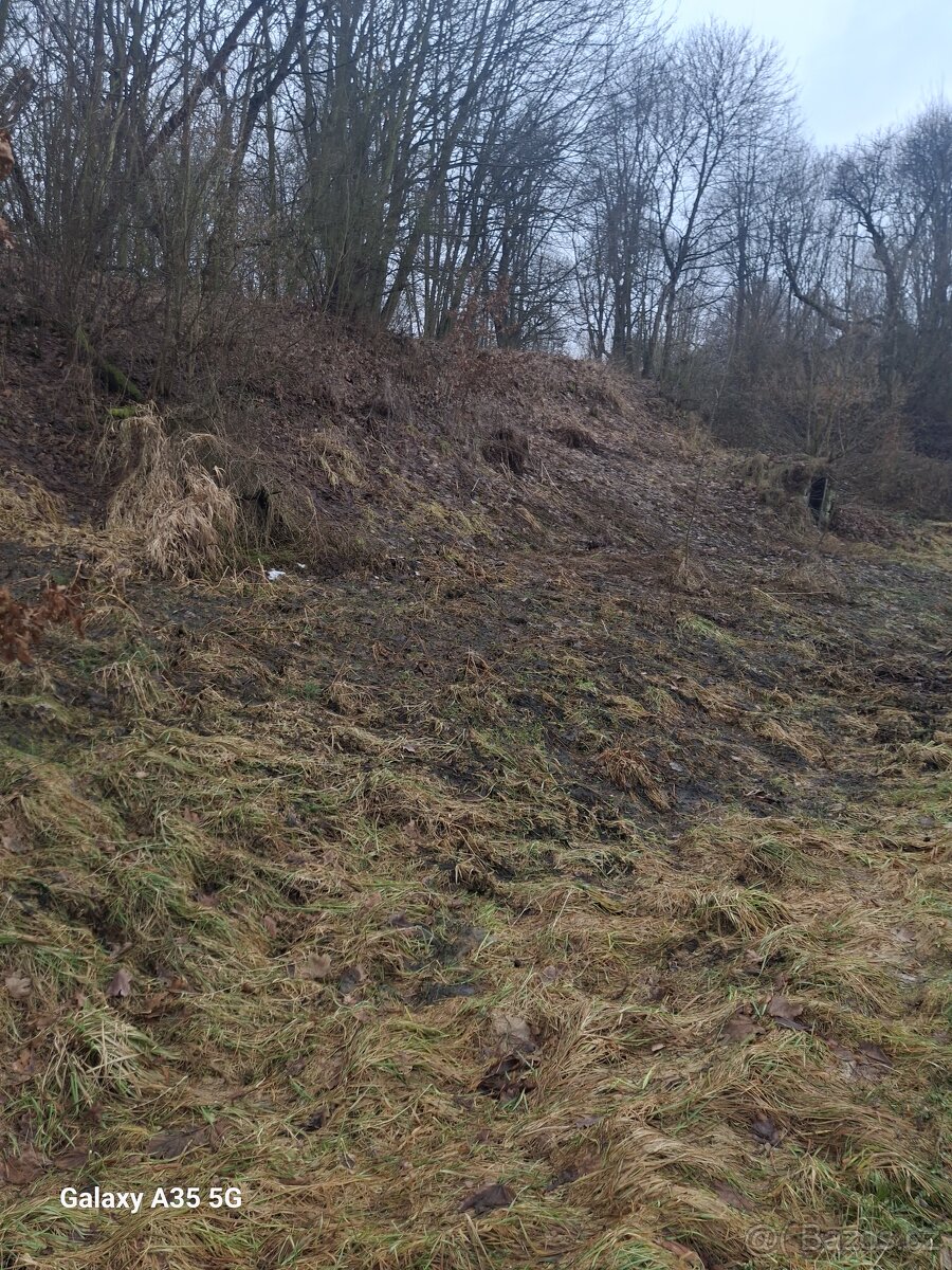 Pronajmu pozemek 1000 metrů čtverečních. Na pozemku lze zahr