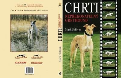 CHRTI - Nepřekonatelný GREYHOUND