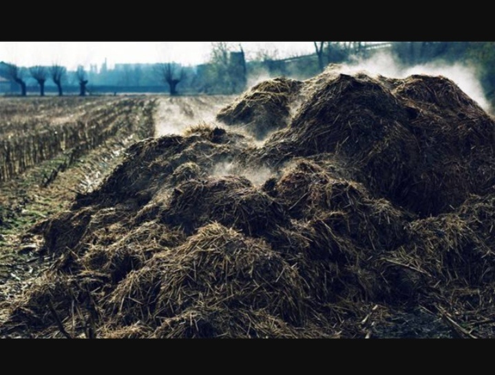 Sháním hnůj za odvoz