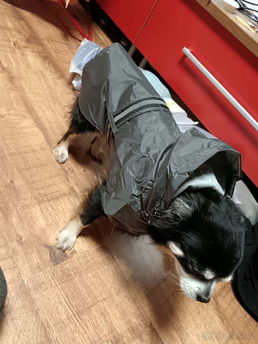 Psí pláštěnka / bunda – NOVÁ, pro středního psa (našemu pejs