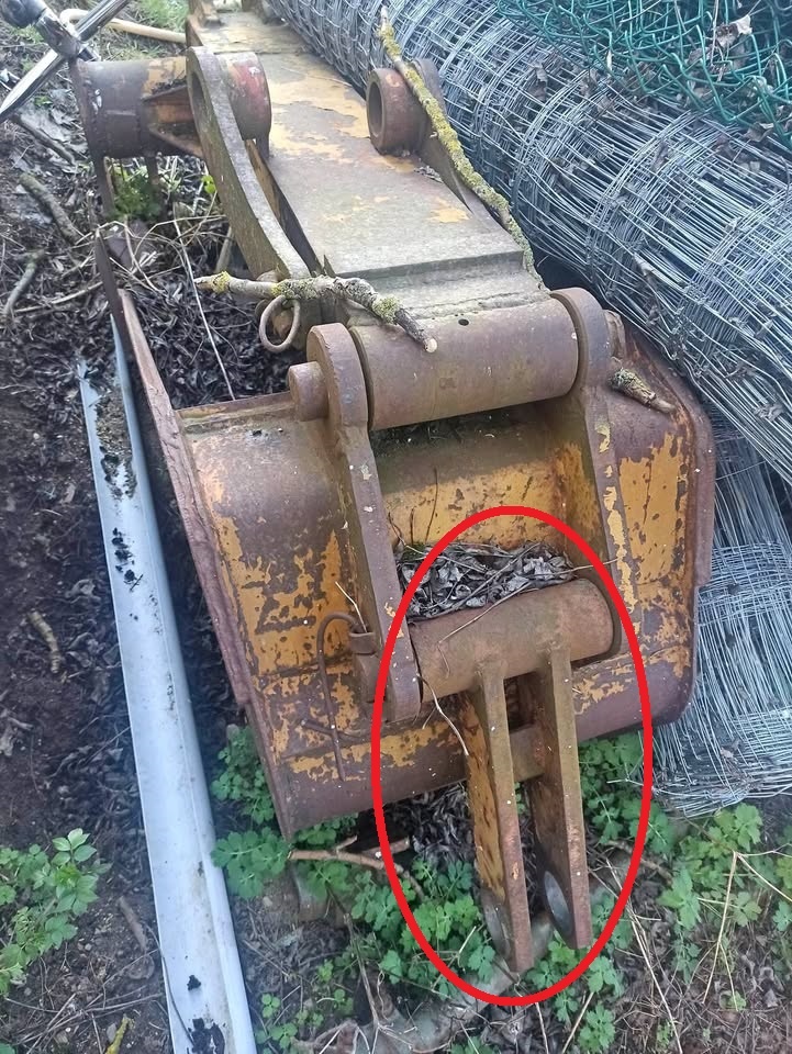 Koupím díl Hon Un podkop