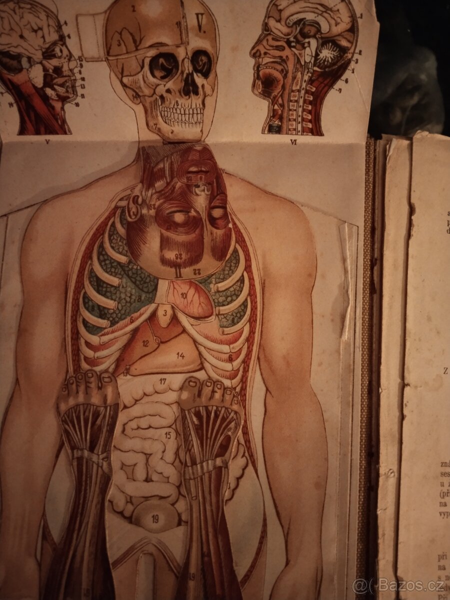 Prodám starší knihu Lékařství