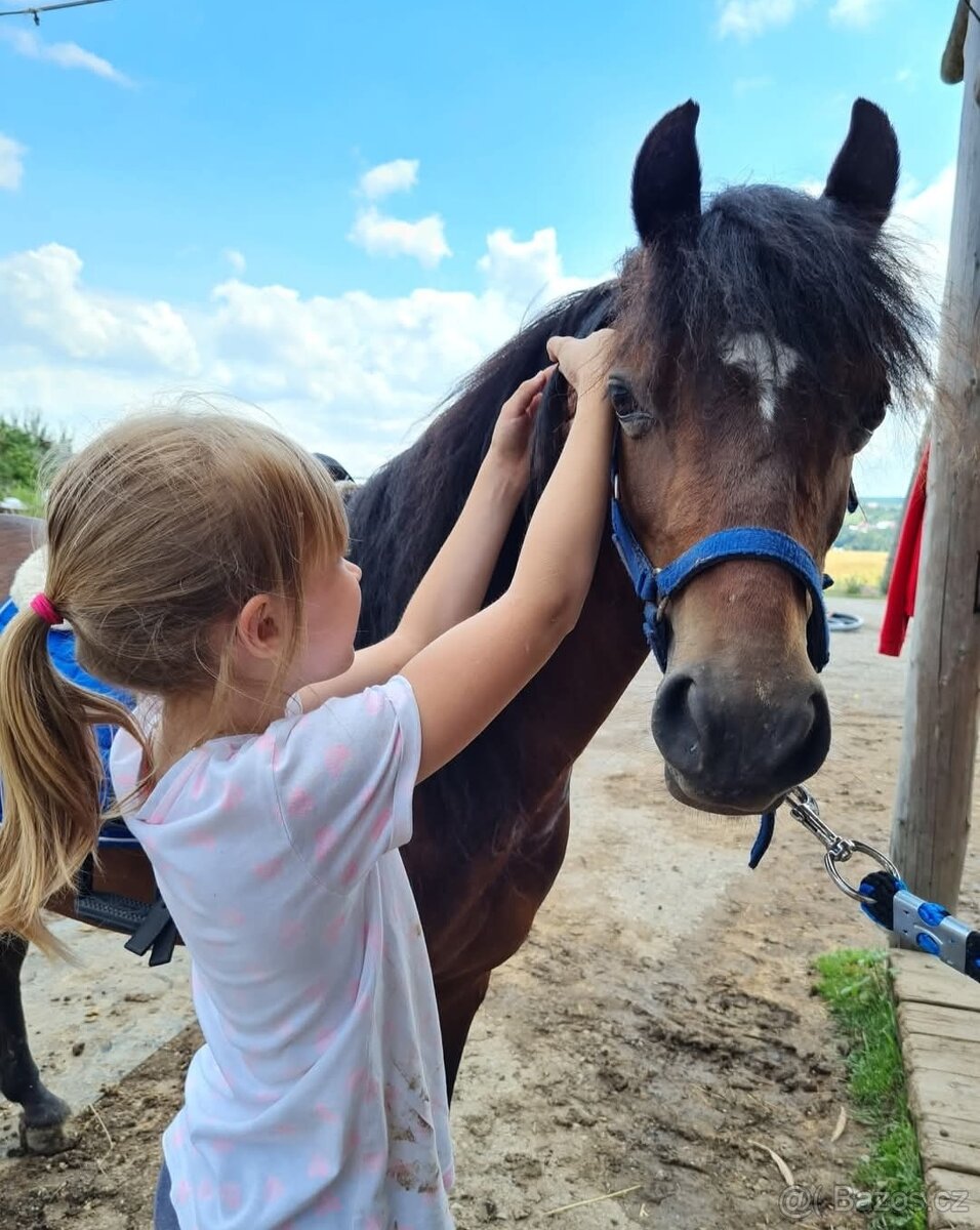 Predám pony kobylku