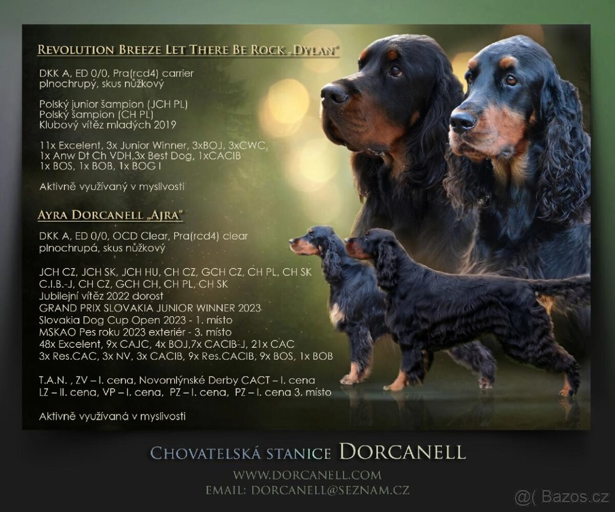 Gordonsetr s PP, setr