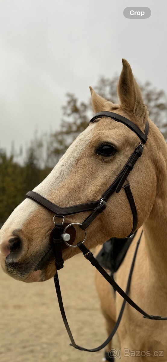 Uzdečka Horseware Micklem