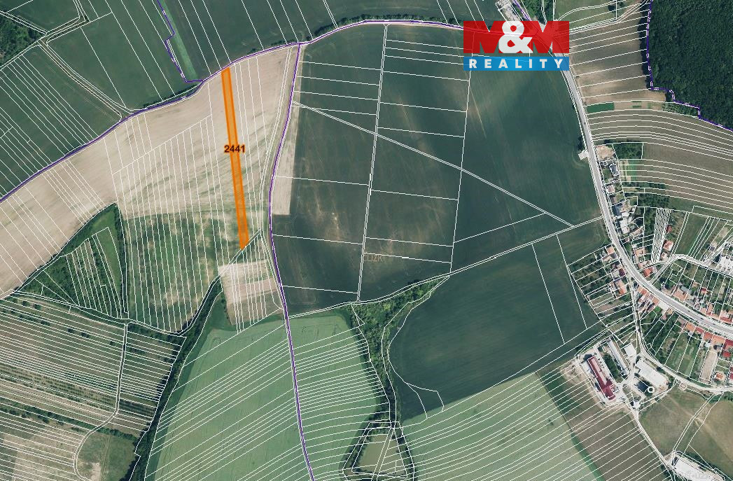 Prodej pole, 719 m², Stavěšice