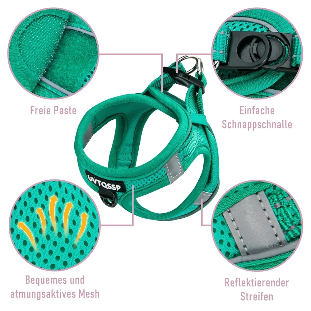 Nový postroj s vodítkem small XS