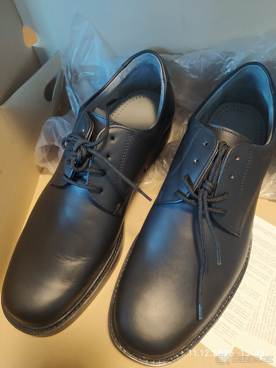 Polobotky černé - AČR