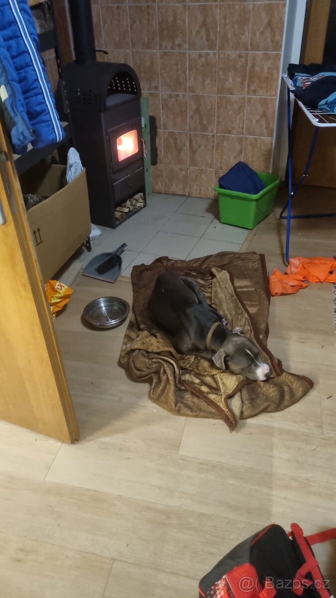 Daruji do zkušených rukou