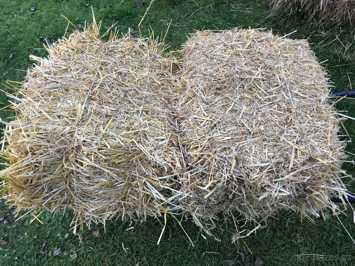 Seno a sláma - malé balíky