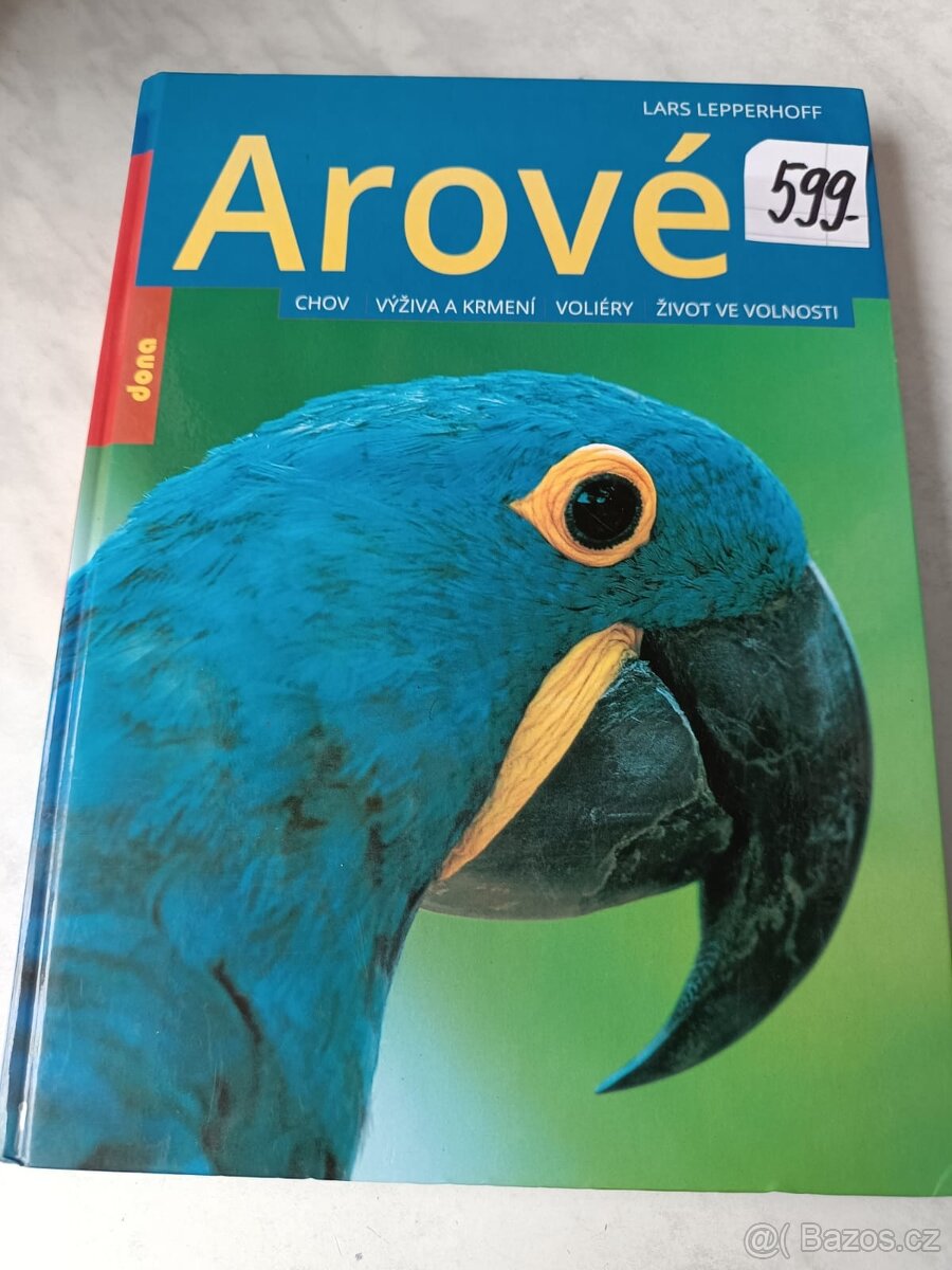 Ptáci dravci papoušci