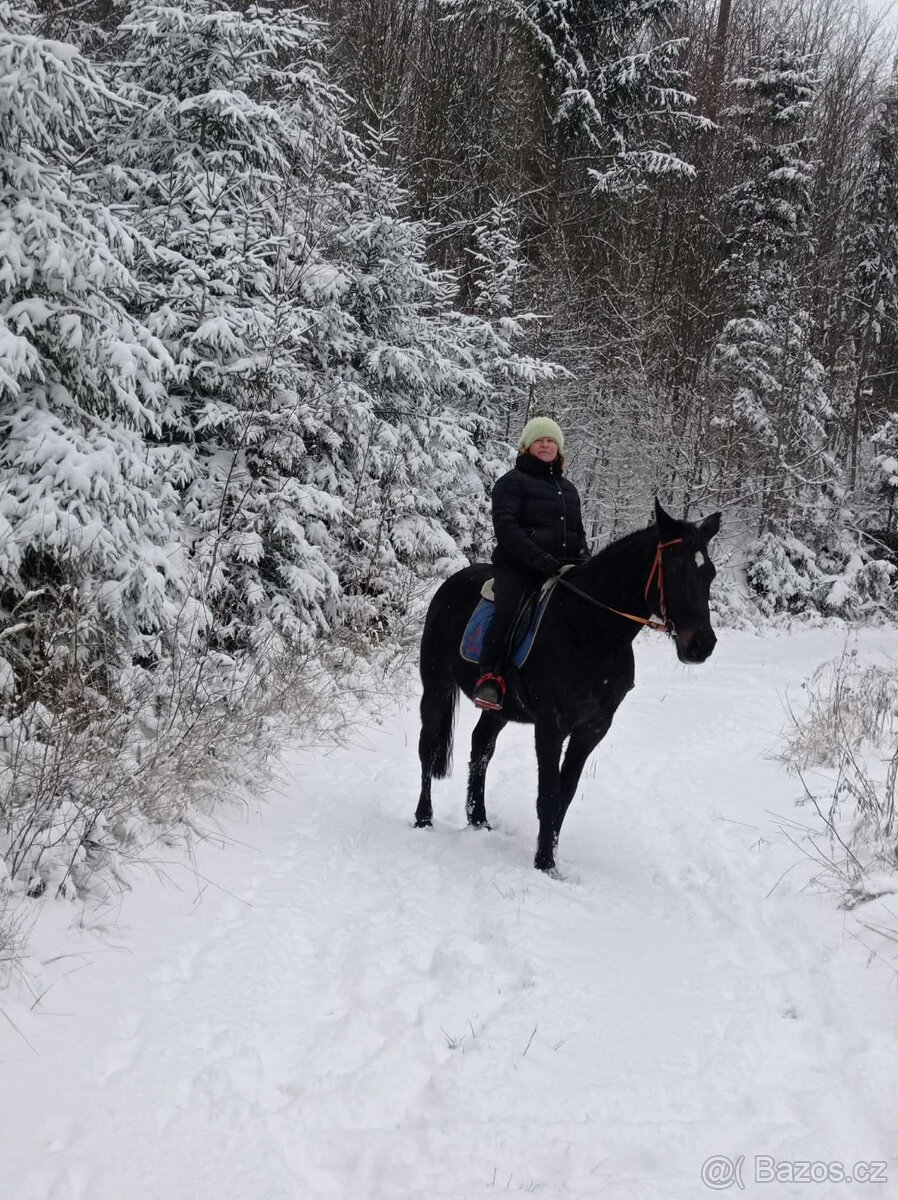 Valášek na rekreaci