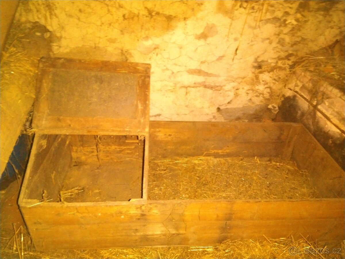 Prodám bednu na odchov kuřat