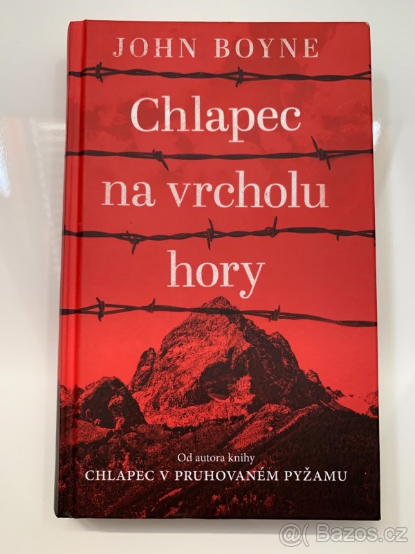Chlapec na vrcholu hory