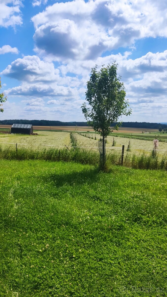 Pastevní ustájení