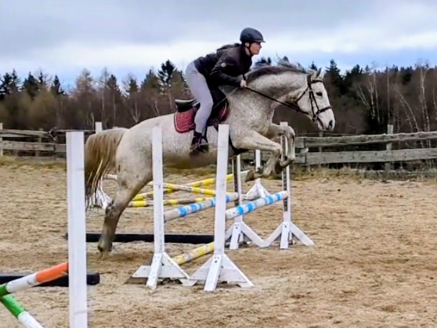 Hodná čtrnáctiletá klisna ČT po Majáles (A1/1)