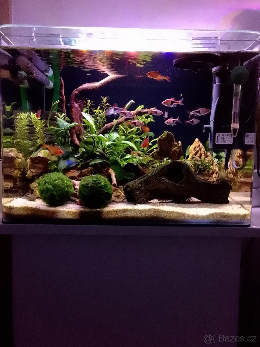 Prodám akvárium Dennerle