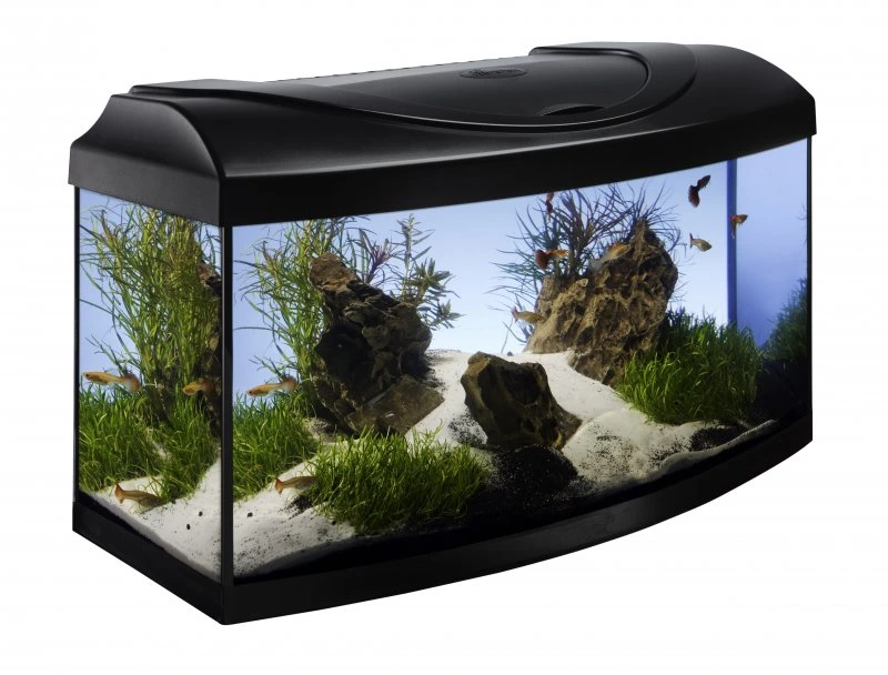 Prodám tyto akvária